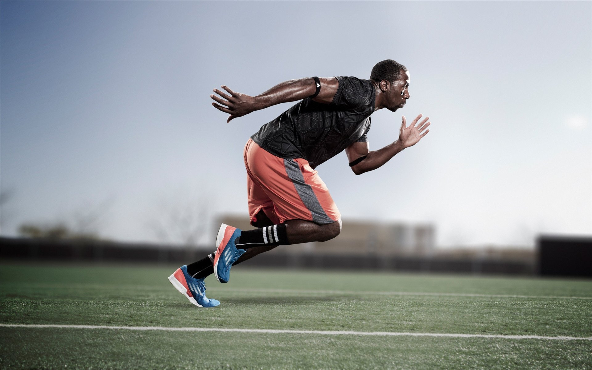 突尼斯女篮在非洲锦标赛中夺冠,体育运动碧血奋战