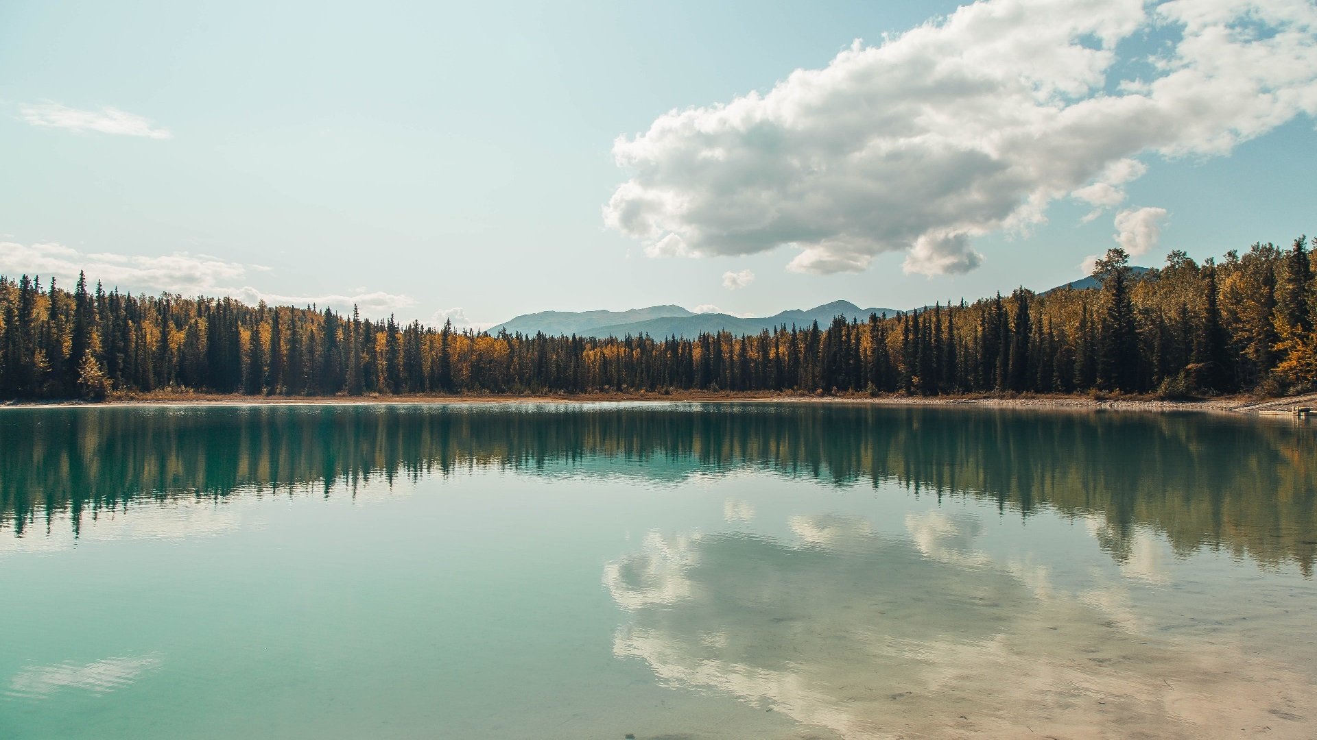 开云体育在线登入-_魔术逆境中崛起，连胜不断刷纪录_，魔术cull