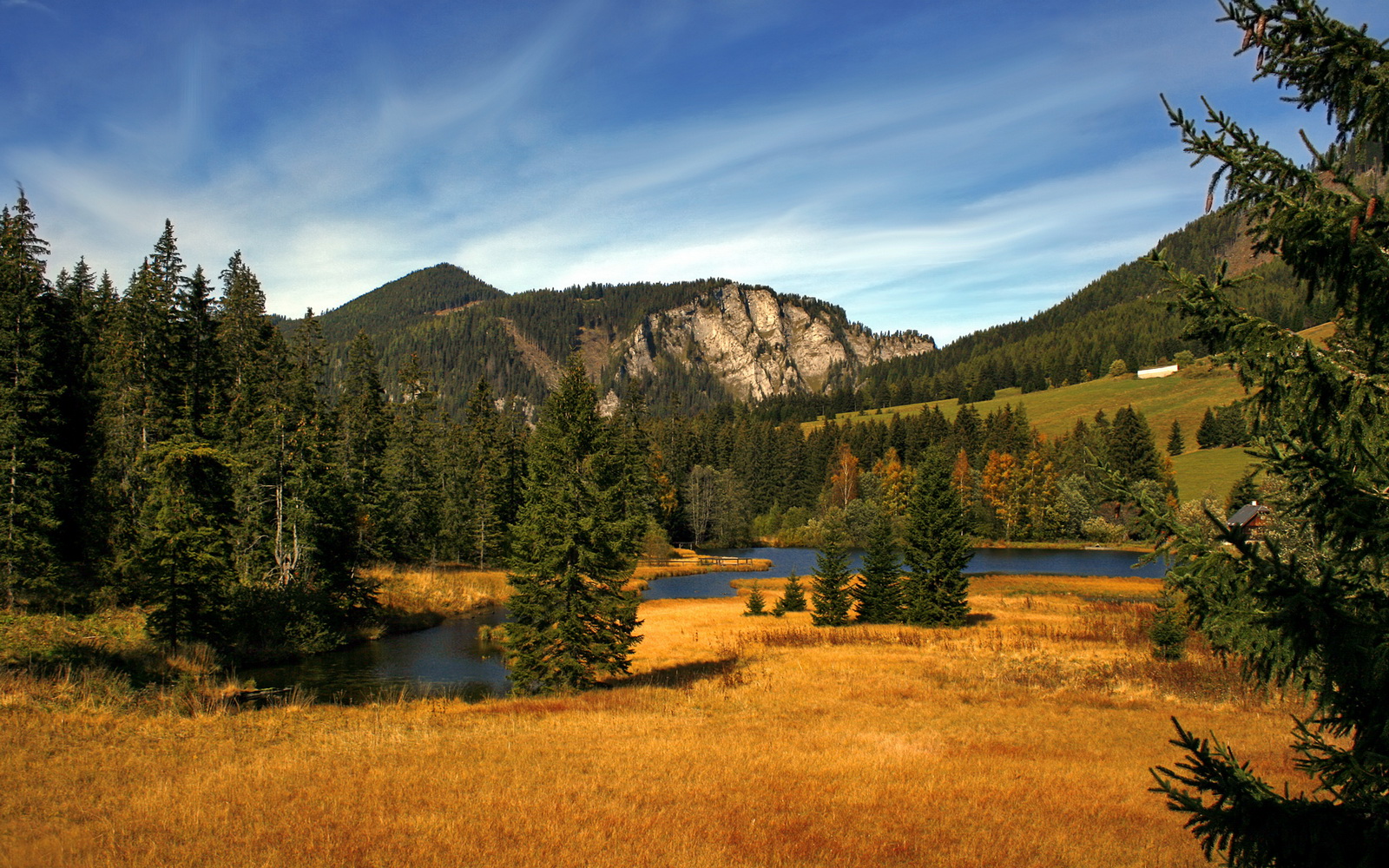 伊朗马术协会引入智能马鞍系统，实现实时数据监测与分析，提升骑乘体验。