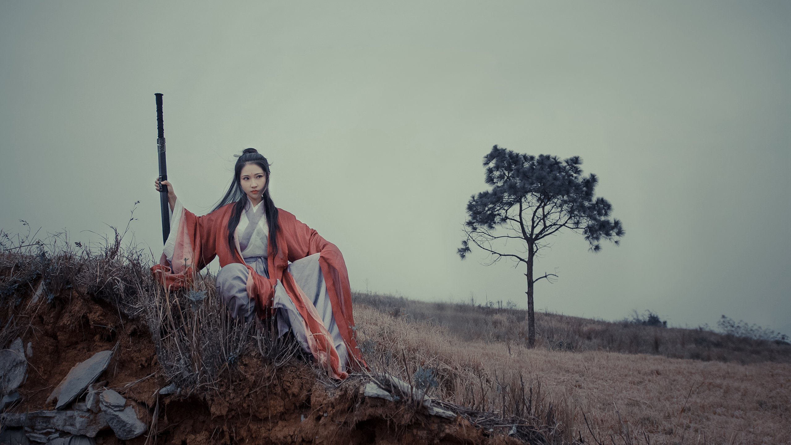 伊朗马术协会引入智能马鞍系统，实现实时数据监测与分析，提升骑乘体验。